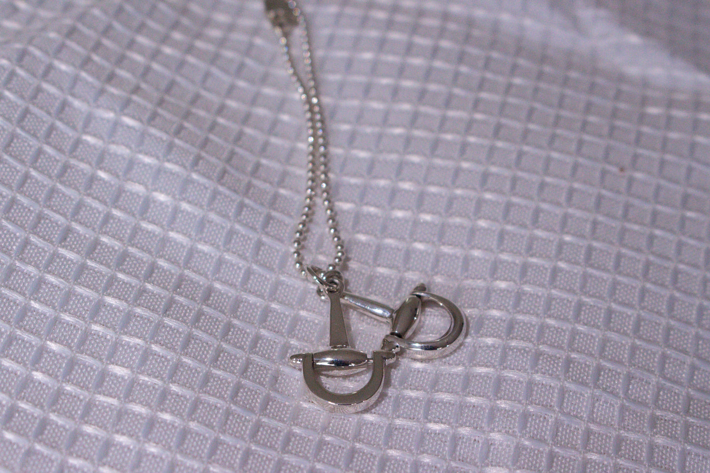 Loose Snaffle Chain Necklace (Sterling Silver 925)